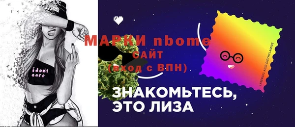 apvp Снежногорск