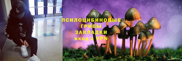 apvp Снежногорск