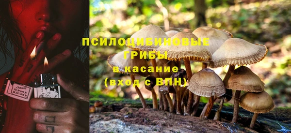 apvp Снежногорск