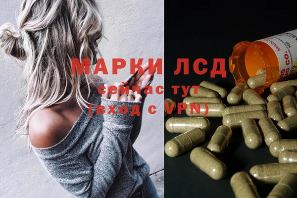 apvp Снежногорск