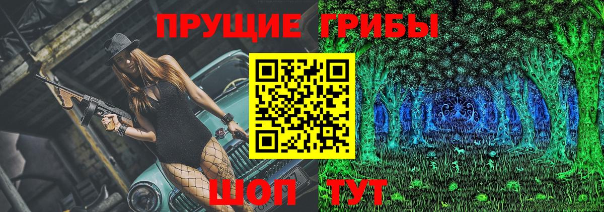Сокол  Галлюциногенные грибы Cubensis  Вход с VPN 